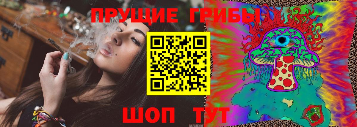 Псилоцибиновые грибы Psilocybe Новошахтинск