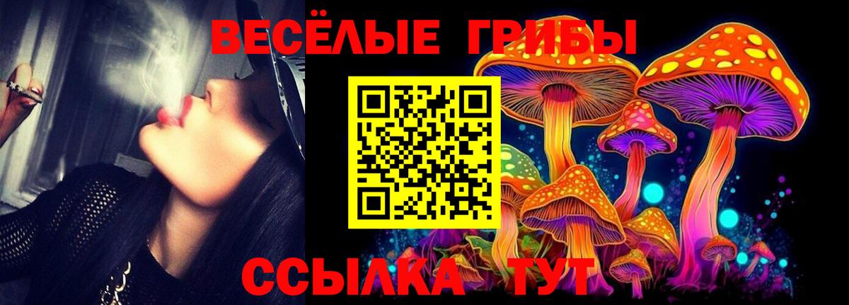 Новошахтинск  Галлюциногенные грибы MAGIC MUSHROOMS  Вход с VPN 